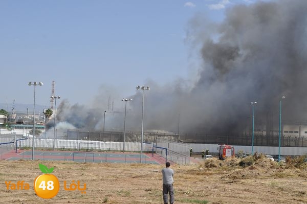 fireramlasejn4288 (27).JPG